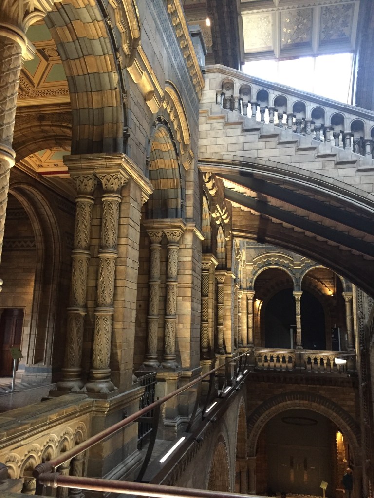 Inside Natural History Museum